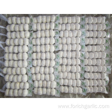 Fresh New Crop Pure White Garlic 5.0cm